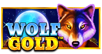 rtp wolf gold terpercaya: Panduan Pemula untuk Memahami, Memilih, dan Menggunakannya dengan Aman